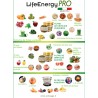 LifeEnergy PRO